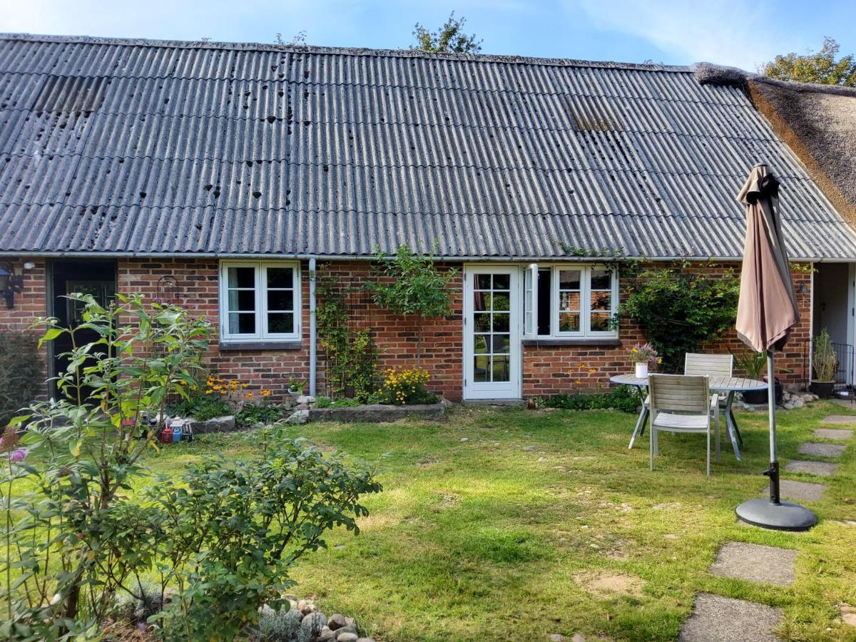 Ringkobing Fjord B&B Skjern Exteriör bild