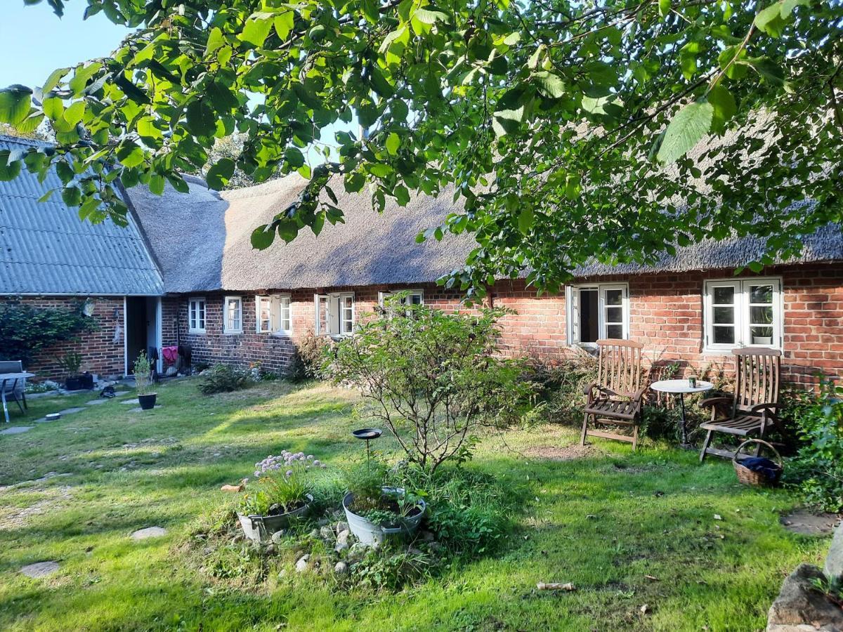 Ringkobing Fjord B&B Skjern Exteriör bild